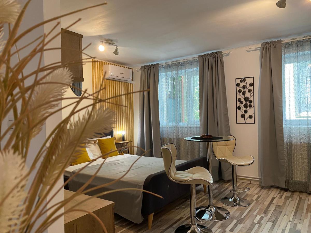 טימישוארה Urseni Studio Apartment מראה חיצוני תמונה