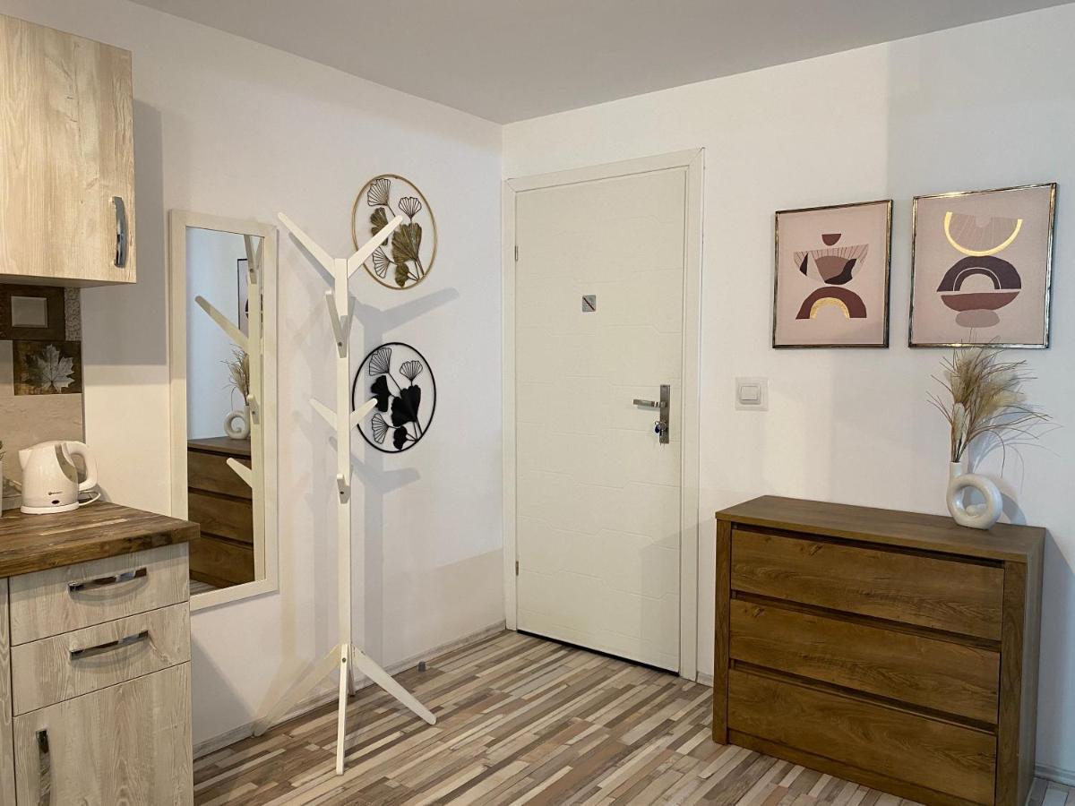 טימישוארה Urseni Studio Apartment מראה חיצוני תמונה