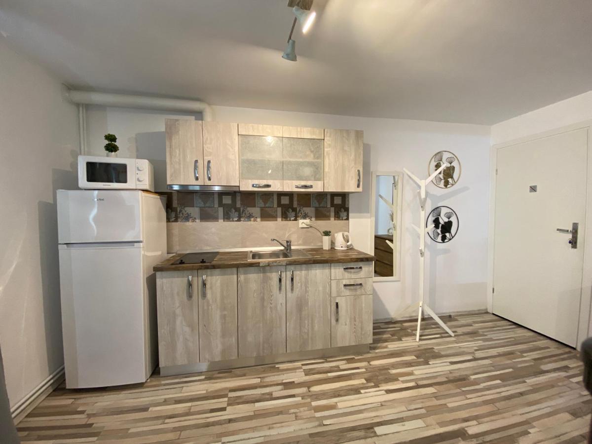 טימישוארה Urseni Studio Apartment מראה חיצוני תמונה